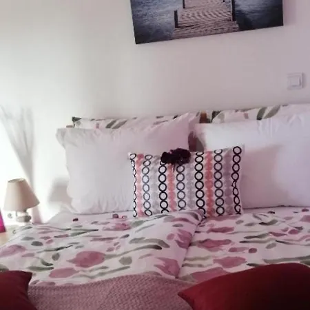 Sarita 2